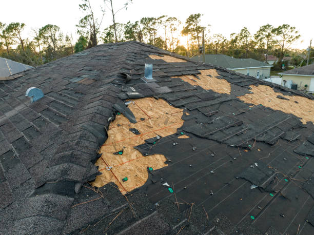 Best Roofing for New Construction  in Chesilhurst, NJ